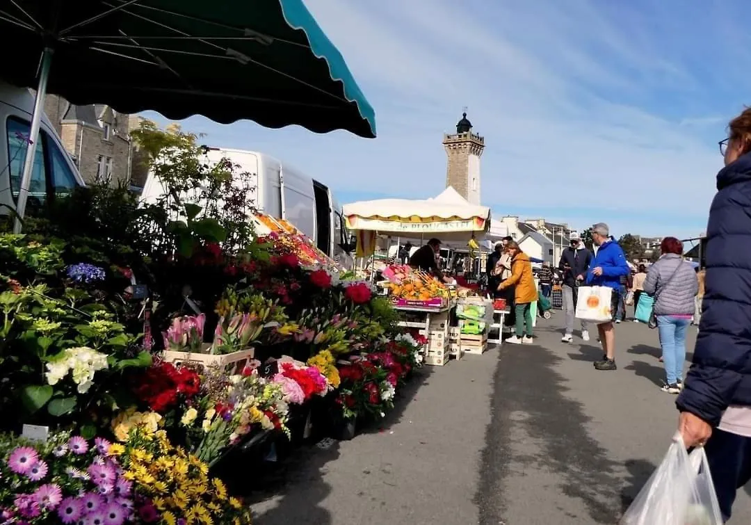 Roscoff 2 Pieces Classe 2 Etoiles Et Terrasse Centre Historique France