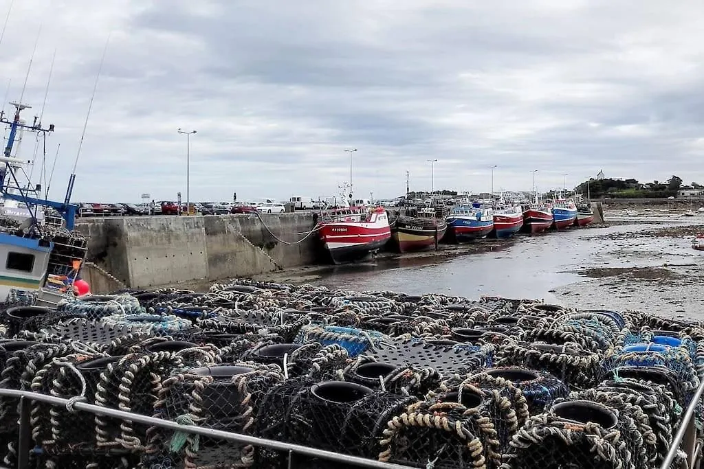 Roscoff 2 Pieces Classe 2 Etoiles Et Terrasse Centre Historique